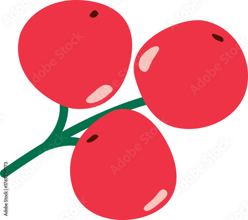 산수유 열매 겨울 소품 일러스트 fruit winter props illustration