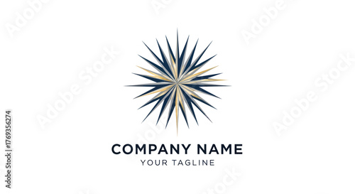 Abstract geometric starburst logo design with sharp radiating lines and a central focal point.