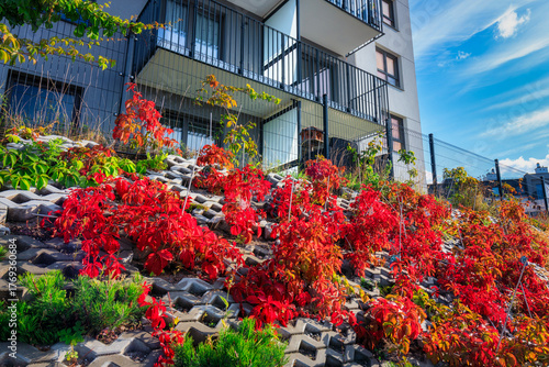 Fotografie Autumn scenery of a housing estate in Gdansk, Poland