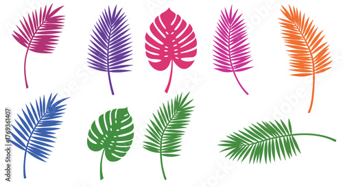 Colorful tropical leaves arrangement with varying shapes and vibrant hues