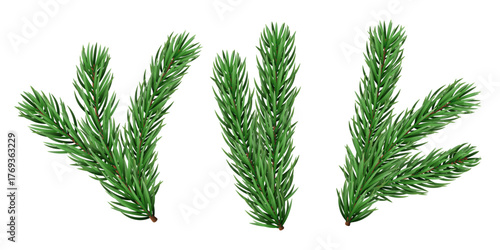 Vector realistic pine tree branch for Christmas and New Year design isolated on a transparent background. Holiday fir tree branch for winter banner, poster, greeting card.