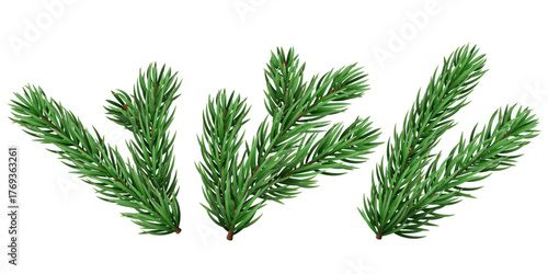 Vector realistic pine tree branch for Christmas and New Year design isolated on a transparent background. Holiday fir tree branch for winter banner, poster, greeting card.