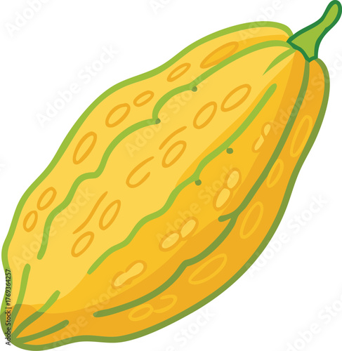 bitter gourd vector art