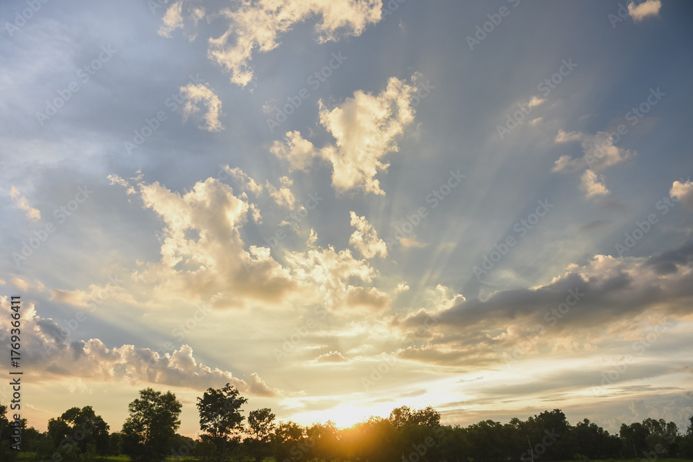 Fototapeta premium Sun setting over trees and field with dramatic, streaked sky.