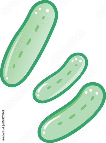 cucumbers vector art