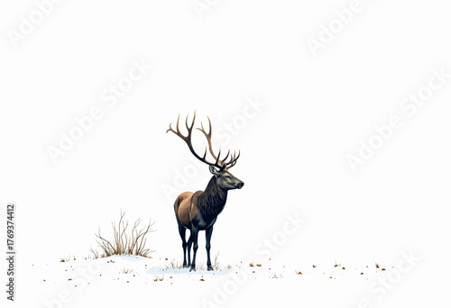 Majestic lone deer with large antlers standing on a snow-covered field, surrounded by sparse vegetation under a crisp, clear, and serene winter sky.