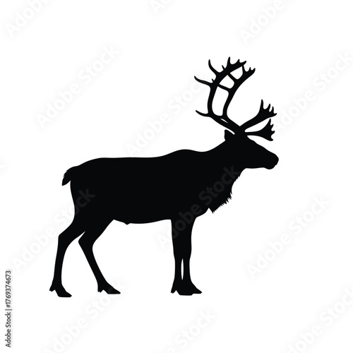 Silhouette of a majestic reindeer with antlers