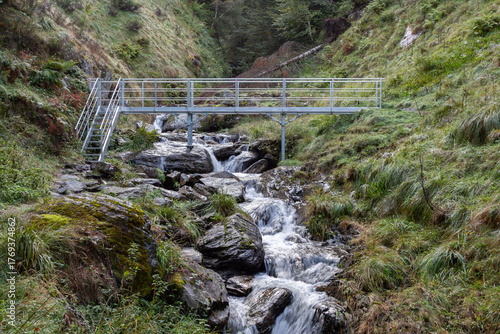 Iron bridge crossing a river with rocks and green vegetation
