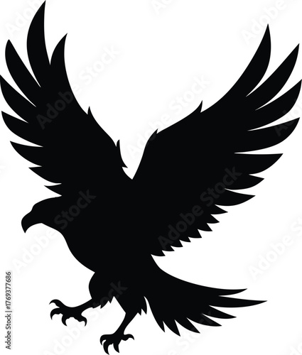flying eagle bird silhouette