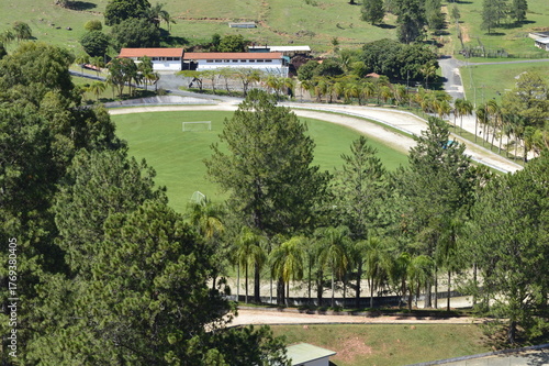 Campo de futebol depois das árvores