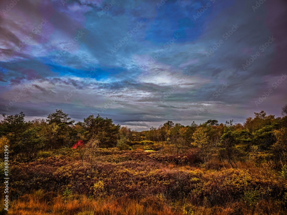 Obraz premium An autumnal landscape with dramatic skies and colorful autumn leaves, The Holler Moor in 27804 Berne, Lower Saxony, Germany