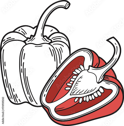 just a capsicums vector art with a white backgroun