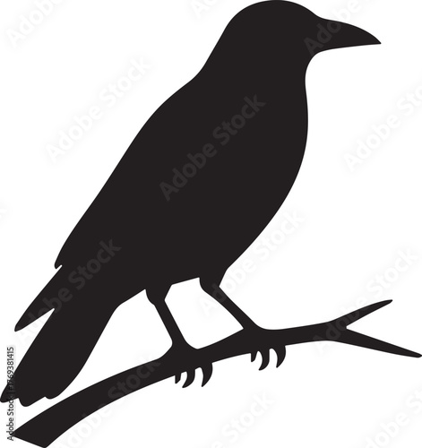 crow on a branch illustration vector