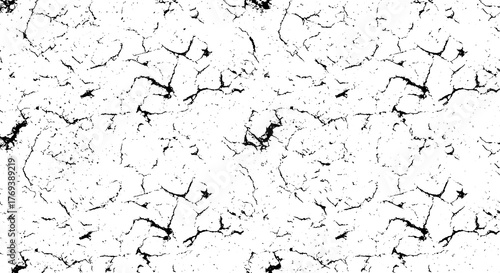 Cracked pattern texture in black and white, suitable for backgrounds or designs. The intricate cracks and lines create an interesting visual effect.