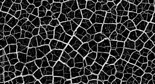 Intricate cracked surface. The detailed pattern, with its web-like design, offers a unique texture and visual intrigue