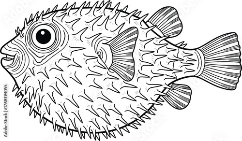 Black and white line art illustration of a spiky pufferfish, perfect for marine life coloring pages, ocean education, or aquatic-themed vector designs