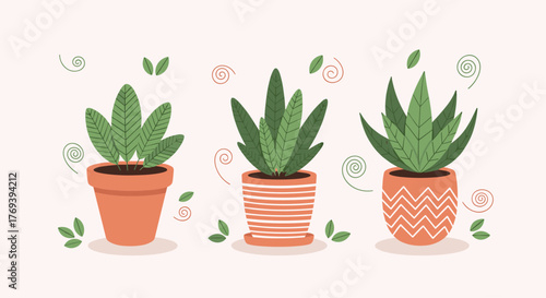 Illustration of three distinct potted green plants in terracotta pots with various patterns, surrounded by whimsical leaves and swirls.