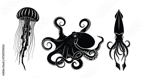 Black silhouettes of various marine life, featuring a jellyfish, an octopus, and a squid, depicted on a clean white background.