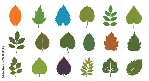 Diverse and colorful leaf silhouettes in various shapes and patterns, representing different trees and seasons, isolated on a white background.