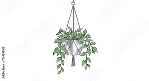 Minimalist line art illustration of a green leafy plant in a macrame hanger, perfect for indoor home decor.