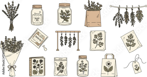 Herbarium Specimens: Preserving Botanical Samples Using Silica Gel, Drying Racks and Airtight Jars at Home, Preserving Plants for Scientific Study, Crafting, Traditional Medicine, Education 