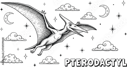Pterodactyl Flying Through a Starry Night Sky with Clouds, a Prehistoric Reptile in Flight, Fantasy Adventure Scene for Children's Education, Paleontology Illustration for Books and Science
