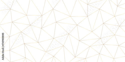 Abstract geometric background with connecting dots and lines with low poly triangle shapes. Polygonal Mesh Background Vector design digital technology concept Global network connection data structure.