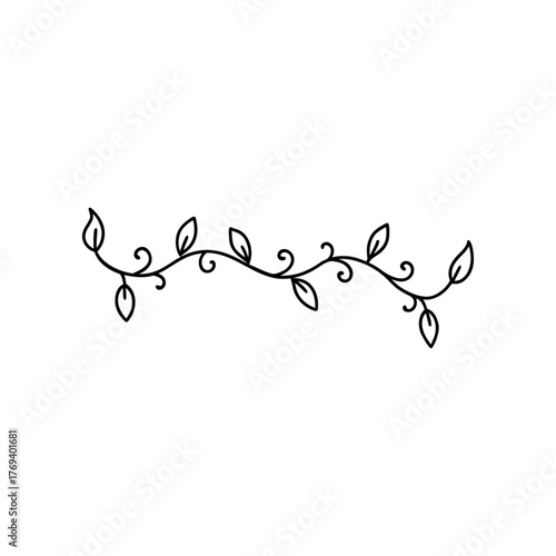 Hand-drawn Bohemian vine dividers with trailing tendrils and leaf patterns. Slightly messy appearance