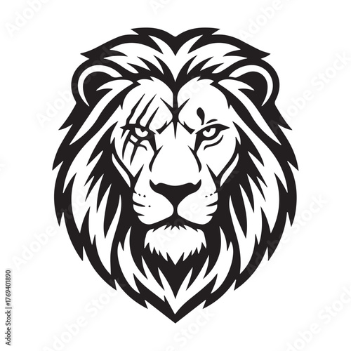 lion vector illustration