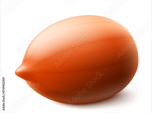 Peanuts isolated on white background. For packaging with peanut butter, a mixture of nuts. Vegetable protein for vegetarians, a healthy product. Realistic vector 3D illustration.