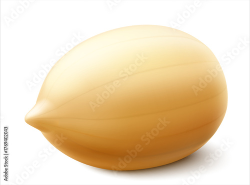 Peanuts isolated on white background. For packaging with peanut butter, a mixture of nuts. Vegetable protein for vegetarians, a healthy product. Realistic vector 3D illustration.