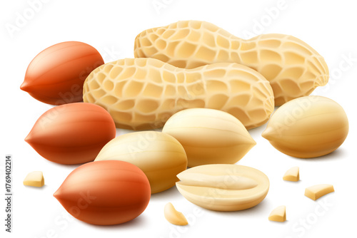 Set of shelled and unshelled peanuts, isolated on white background. For packaging with peanut butter, mix of nuts. Vegetable protein for vegetarians, healthy product. Realistic vector 3D illustration.