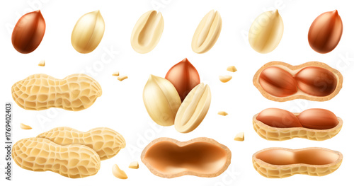 Set of whole and half peanuts, isolated on white background. For packaging with peanut butter, mix of nuts. Vegetable protein for vegetarians, healthy product. Realistic vector 3D illustration.
