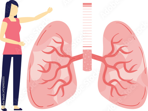 Girl looking at windpipe lungs