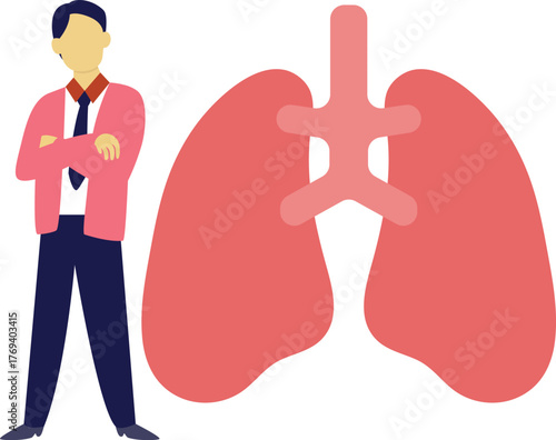 The doctor showing healthy lungs