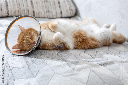 An injured orange cat with a recovery cone lies on the soft surface of the bed.