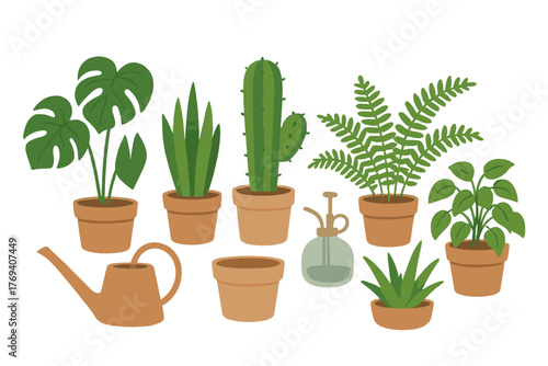 Potted indoor houseplants assortment with essential gardening accessories and tools