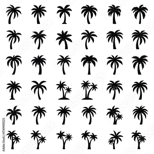 Collection of palm tree icons