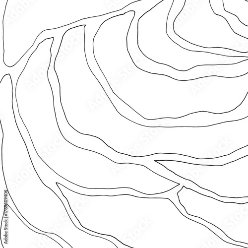 Abstract contour line background. Modern topographic pattern with organic curves and wavy lines. Minimal black and white vector texture perfect for posters, packaging, branding, and surface design.