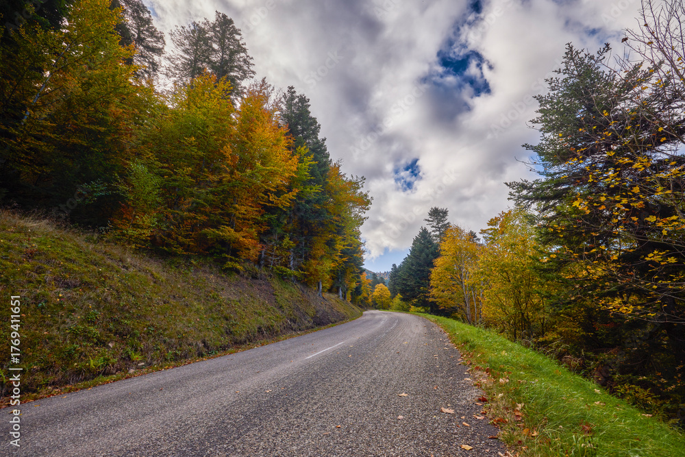 Fototapeta premium a mountain road during autumn with colorful trees