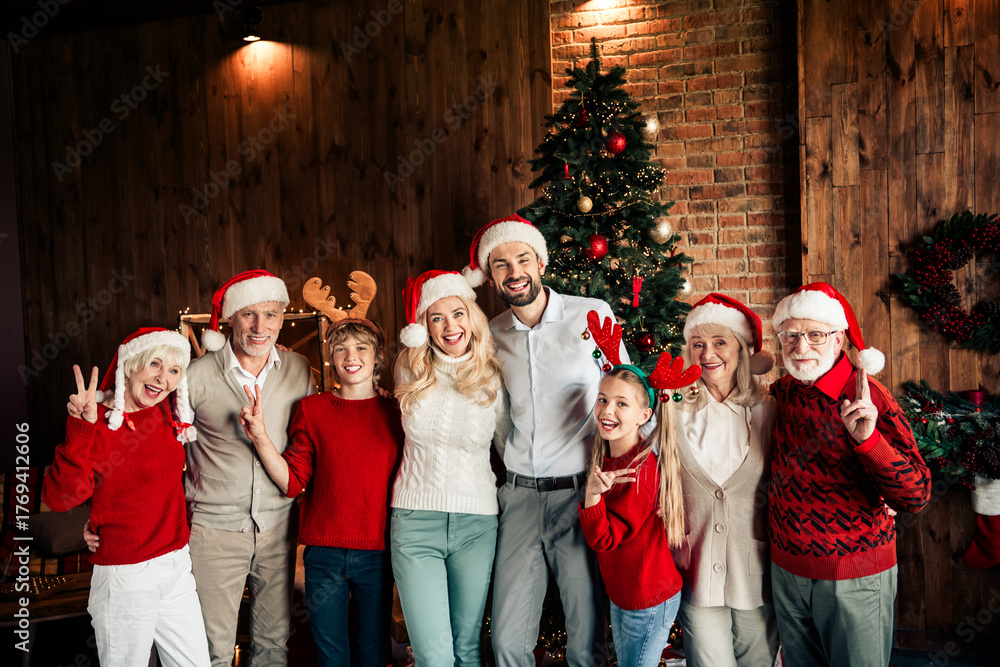 © deagreez - Family joins for Christmas celebration posing with tree and decorations in cozy living room as grandparents and grandchildren share smiles and festive cheer © deagreez - Family joins for Christmas celebration posing with tree and decorations in cozy living room as grandparents and grandchildren share smiles and festive cheer