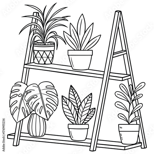 Peaceful Plants on Wooden Shelf