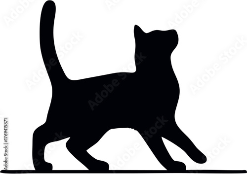 cat silhouette vector