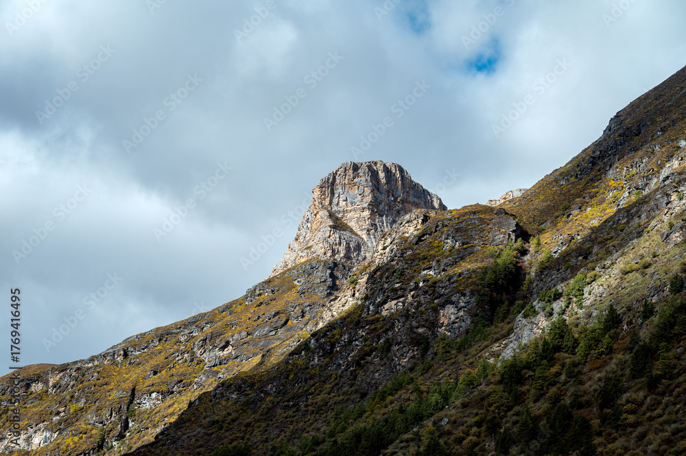 Fototapeta premium Mountain peaks and vegetation landscapes in plateau regions