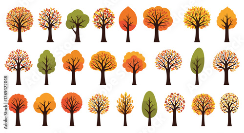 Stylized flat design vector illustration set of various deciduous trees with vibrant autumn and some green foliage, isolated on white.
