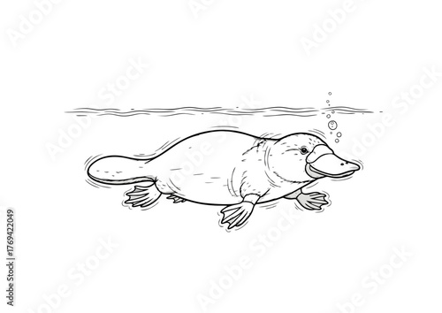 Handdrawn Outline Platypus Swimming Underwater with Bubbles Illustration