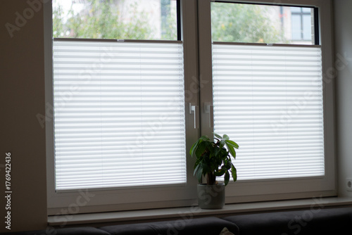 Fotografía White pleated blinds on two windows in a room, window sill with a green plant