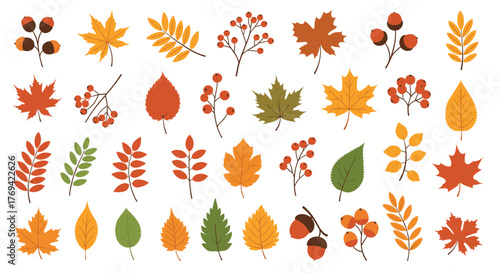 Diverse autumnal elements including foliage, berries, and acorns, depicting the beauty of fall.
