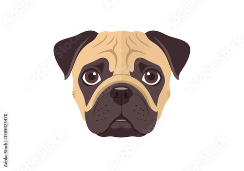 A close-up illustration of a pug dog's face with large, expressive eyes and wrinkled skin.