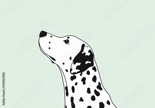 A detailed illustration of a Dalmatian dog looking upwards, showcasing its distinctive black spots.